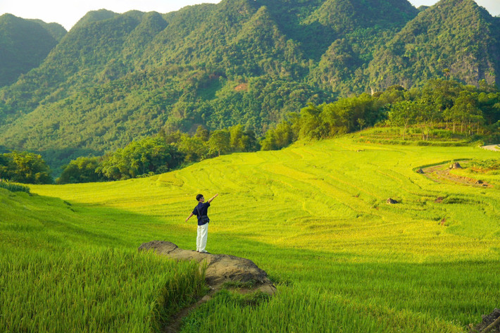 Đây là thời gian lý tưởng để du khách chiêm ngưỡng vẻ đẹp hoang sơ của vùng đất này, đồng thời tham gia vào các hoạt động như trekking qua những con đường mòn giữa cánh đồng lúa, chụp ảnh lưu lại những khoảnh khắc tuyệt đẹp, hay khám phá cuộc sống của người dân địa phương. Ảnh Văn Phong