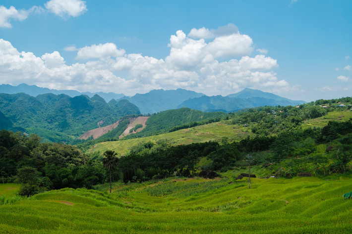 Đối với những du khách yêu thích sự khám phá và muốn hòa mình vào thiên nhiên hoang sơ, tour trekking 3 ngày 2 đêm của Duy Anh Travel là lựa chọn tuyệt vời. Trong hành trình này, du khách sẽ tham gia các hoạt động trekking qua những ngọn núi, thăm các bản làng của người Thái và thưởng thức các món ăn đặc sản địa phương. Ảnh Check in Vietnam