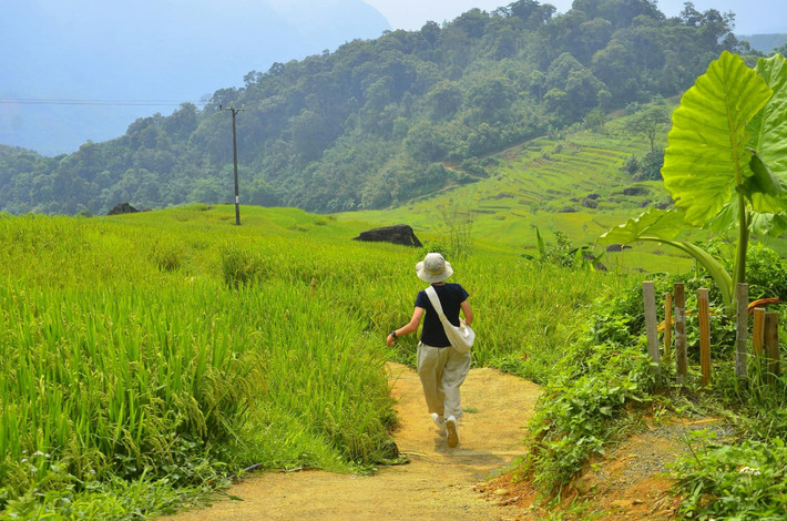 Pù Luông không chỉ hấp dẫn du khách bởi cảnh quan thiên nhiên tuyệt mỹ mà còn bởi những nét văn hóa đặc sắc. Du khách có thể ghé thăm bản Hòa Bình, nơi sinh sống của đồng bào dân tộc Thái, tham gia vào các lễ hội truyền thống, thưởng thức cơm lam, thịt nướng, gà đồi và các món ăn đặc sản địa phương. Ảnh Văn Phong