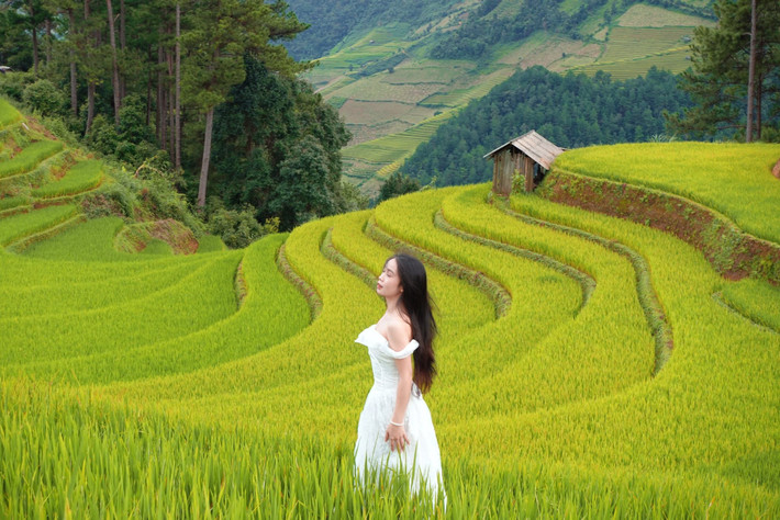Du khách ghé thăm đồi Móng Ngựa còn có cơ hội trải nghiệm văn hóa người Thái, chiêm ngưỡng những bản làng nhỏ, phụ nữ dân tộc trong trang phục sặc sỡ, cùng thưởng thức các đặc sản núi rừng như xôi nếp nương, cốm Tú Lệ hay cá suối nướng. Ảnh Tran Thuy