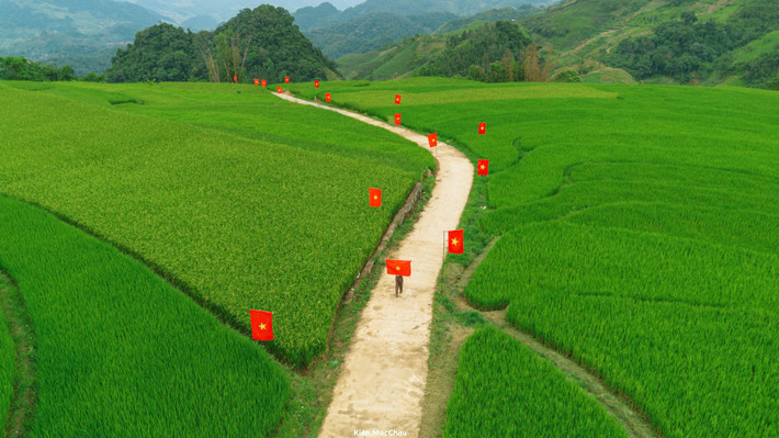 Khi đi qua con đường này, du khách dễ dàng cảm nhận được vẻ đẹp bình dị nhưng cũng rất hùng tráng của đồng lúa, hòa cùng sắc đỏ của cờ, khơi dậy niềm tự hào dân tộc. Ảnh Quang Kiên