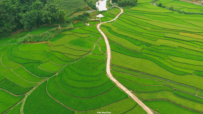 Khu vực bản Suối Lìn, cách trung tâm Mộc Châu hơn 20km, nhộn nhịp khách ghé thăm những ngày gần đây, tạo nên không gian vừa thơ mộng vừa đậm chất làng quê Việt Nam. Ảnh Quang Kiên