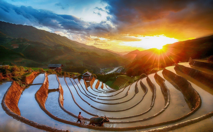 Không chỉ có mùa lúa chín, đồi Móng Ngựa còn đẹp tuyệt khi mùa nước đổ (tháng 5–6). Lúc này, những thửa ruộng ngập nước tạo mặt hồ phẳng lặng, phản chiếu trời xanh và núi non, khiến nơi đây mang vẻ đẹp thanh tịnh, thu hút những du khách yêu sự yên bình và những góc máy nghệ thuật. Ảnh Vietmountaintravel