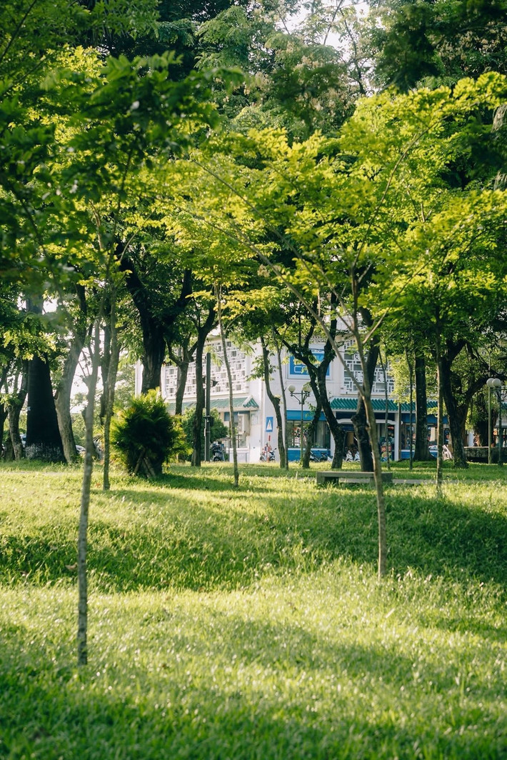 Có lẽ điều khiến người ta say lòng chính là sự an yên toát lên từ cảnh vật: một mảng xanh mát, ánh nắng lấp lánh cuối ngày, dòng nước lững lờ trôi… Tất cả khiến người ta muốn gác lại guồng quay vội vã, tìm về Huế để thả mình trong sự tĩnh lặng dịu dàng của một chiều ven sông. Ảnh Dong Ho Vy