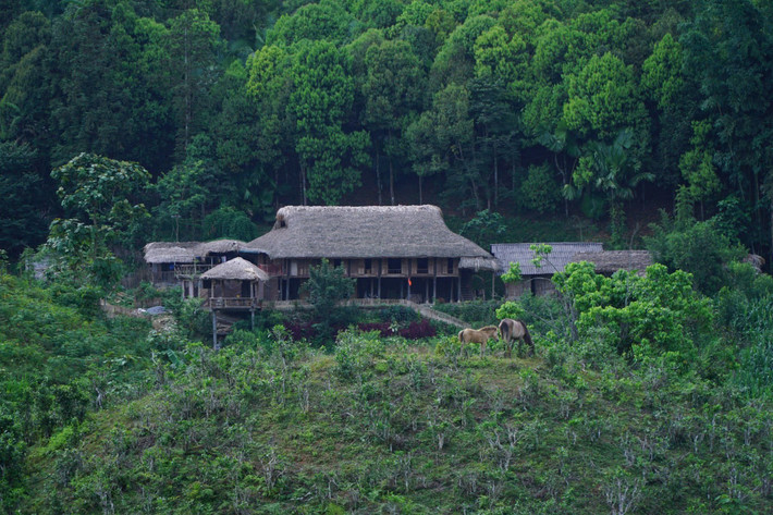 Điểm nhấn nổi bật của bản là hệ thống homestay được xây dựng theo kiểu nhà sàn truyền thống của người Tày, chủ yếu bằng gỗ, mái lợp cọ, không gian mộc mạc, thoáng đãng. Những căn nhà ba gian hai chái hay năm gian hai chái mang đặc trưng vùng cao không chỉ là nơi lưu trú mà còn là nơi lưu giữ nếp sống, văn hóa của người dân bản địa. Du khách có thể lựa chọn nghỉ tập thể trên nhà sàn, hoặc bungalow nhỏ xinh dành cho nhóm bạn, cặp đôi. Giá phòng khá phải chăng, chỉ từ 150.000 đồng/người/đêm. Ảnh Giadinhaha