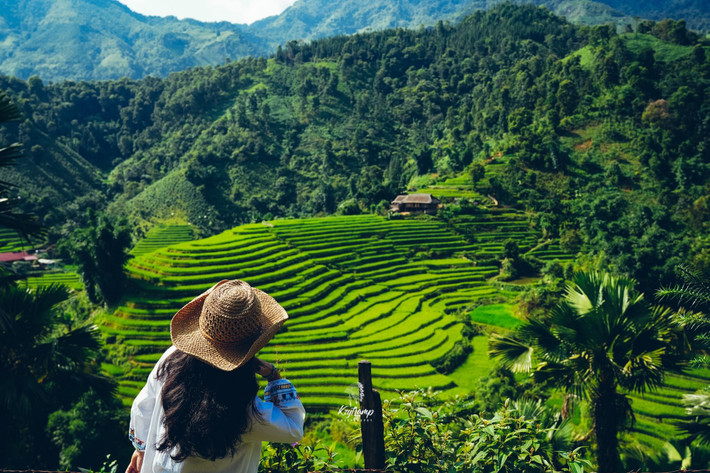 Mỗi mùa ở bản Liền đều mang một nét quyến rũ riêng. Mùa xuân là mùa hoa đào, hoa mận nở trắng rừng, mùa hè xanh mát với những đồi chè trải dài, mùa thu vàng rực ruộng bậc thang đang vào vụ gặt, còn mùa đông mang đến vẻ đẹp tĩnh lặng và sương giăng huyền ảo. Thời gian lý tưởng để lưu trú là 2–3 ngày, đủ để tham gia trải nghiệm, nghỉ ngơi và khám phá trọn vẹn cuộc sống nơi đây. Ảnh Hùng Vĩ