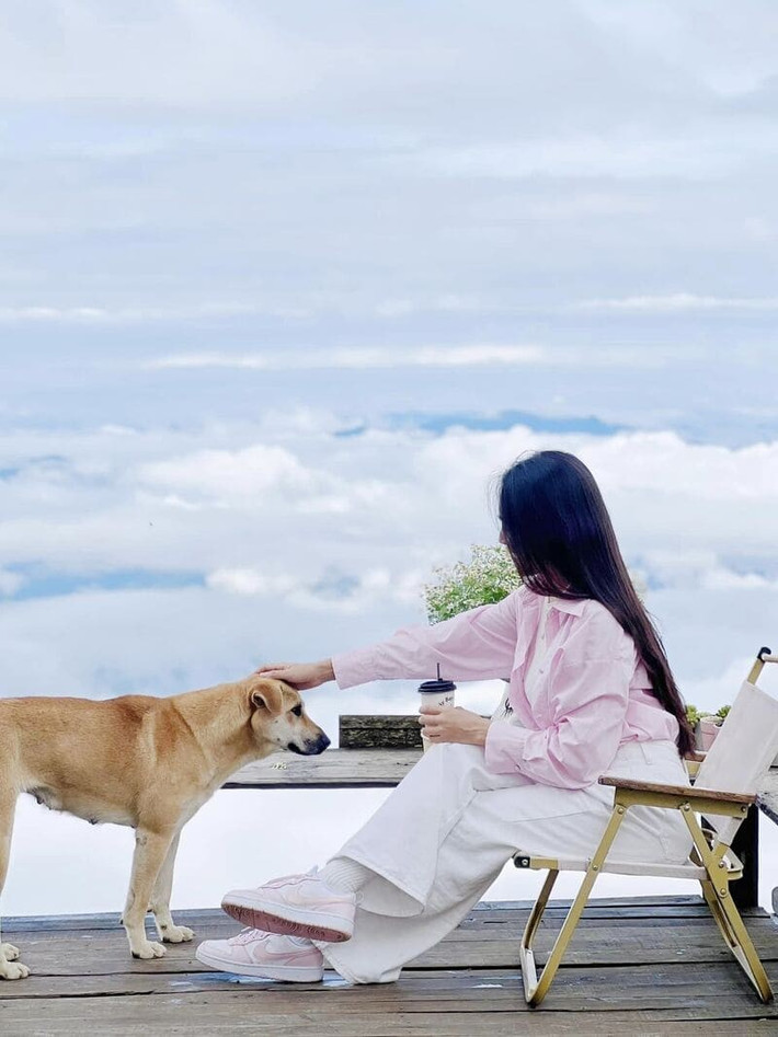 Check-in trên Đỉnh Gió mang đến những bức hình “siêu phẩm”: biển mây trắng bao quanh, núi non trùng điệp phía sau, đôi khi có những ruộng bậc thang hiện ra như trong poster phim. Không ít nhóm phượt còn tổ chức cắm trại qua đêm để đón bình minh, vừa ngắm mây, vừa thưởng thức không gian yên tĩnh, tách biệt khỏi phố thị ồn ào. Ảnh Maria Trần
