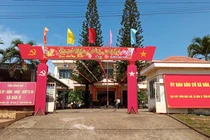 Công ty Trường Thành: Nhà thầu “bất bại” với lịch sử trúng thầu dày đặc [Kỳ 2]