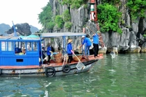 Đấu thầu tại vịnh Hạ Long: Công ty Phúc Thành "một mình một ngựa" gói rác 7,1 tỷ đồng