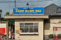 Hé lộ hệ sinh thái nhà thầu