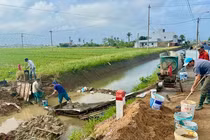 Ảnh minh họa. Nguồn IT