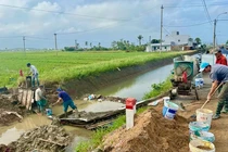 Ảnh minh họa. Nguồn IT