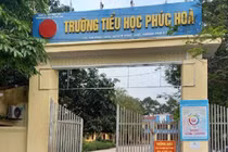 Hồ sơ đấu thầu Công ty Mỹ Giang: Tỷ lệ trúng thầu 94,7% và sự "biến mất" của tỷ lệ tiết kiệm [Kỳ 2]