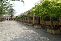 Đấu thầu tại Cần Thơ: Hiệu quả kinh tế và bài học về hồ sơ năng lực [Kỳ 3] 