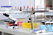 Công ty Thiết bị Giáo dục trúng thầu tại trường Amsterdam với tiết kiệm dưới 1% [Kỳ 1]