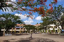 Vĩnh Long: "Ma trận" chỉ định thầu xây lắp trường học về tay nhà thầu Vạn Tín Phát [Kỳ 2]