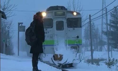 Nhà ga phục vụ duy nhất một hành khách ở Nhật Bản