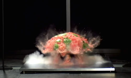 Xem túi khí ô tô tác động tới quả dưa hấu 