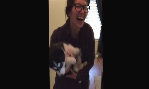 Chết cười với chú chó kêu như tiếng trẻ con