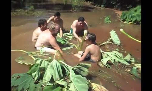 Miệng cống thoát nước nuốt trọn 2 người trong tích tắc