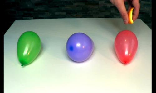 Kinh ngạc tinh dầu vỏ cam làm vỡ... bóng bay