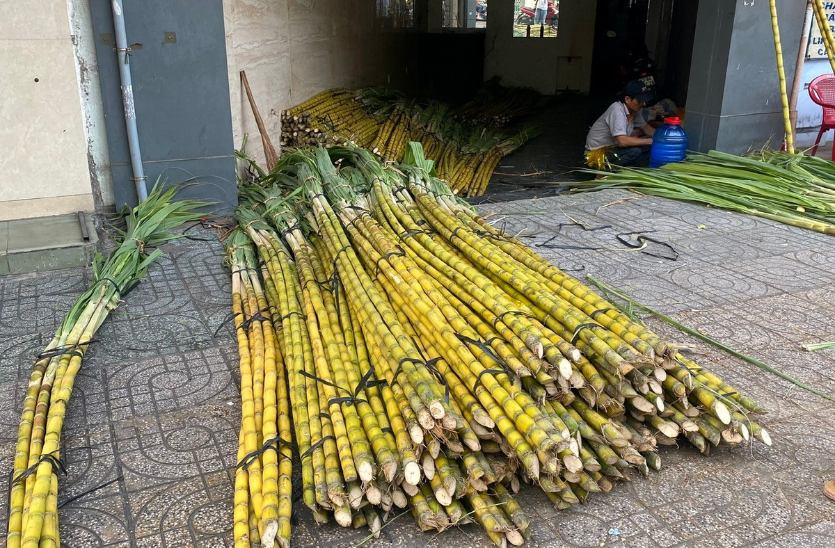 Theo các tiểu thương, năm nay nguồn hàng dồi dào, chất lượng tốt nên giá cả khá ổn định, dao động từ 50.000 - 120.000 đồng/cặp tùy kích cỡ.