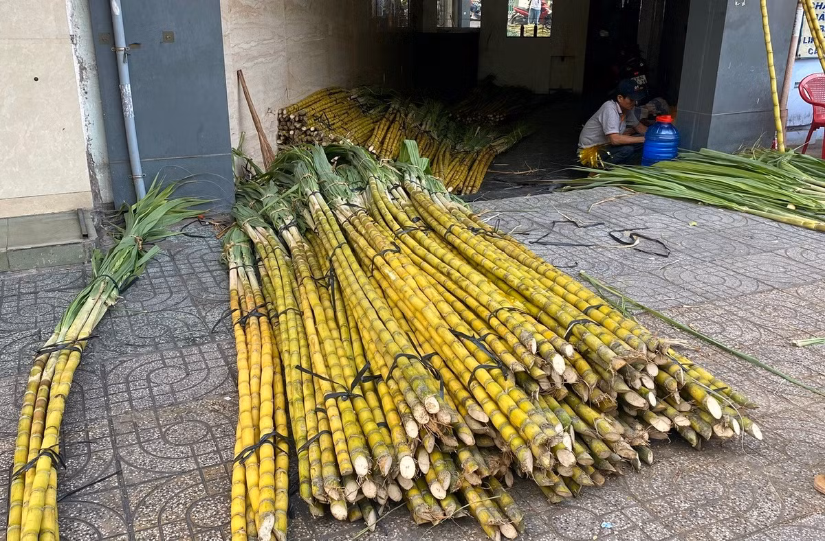 Theo các tiểu thương, năm nay nguồn hàng dồi dào, chất lượng tốt nên giá cả khá ổn định, dao động từ 50.000 - 120.000 đồng/cặp tùy kích cỡ.