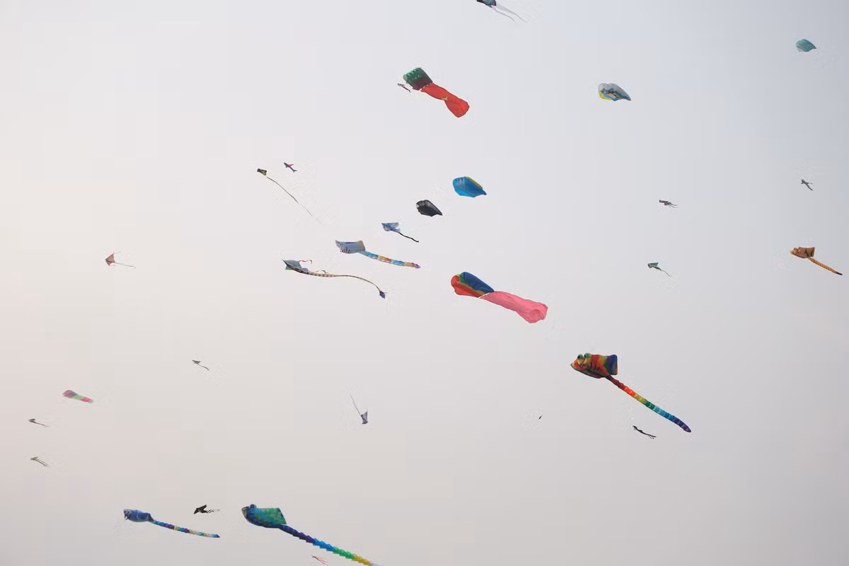 Trẻ nhỏ thích thú vừa được chơi đùa, thả diều trên đồng trống vừa ngắm diều khổng lồ cùng gia đình