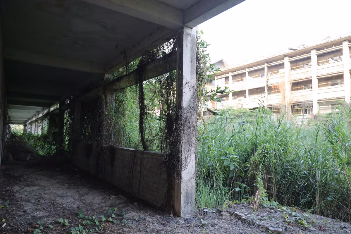 Bên trong khuôn viên công trình là các dãy nhà cao 4 tầng. Do bỏ hoang lâu nên xung quanh trường, cây bụi, dây leo mọc um tùm. Những lối đi vốn được thiết kế cho học sinh nay bị che khuất hoàn toàn bởi cỏ và dây leo.