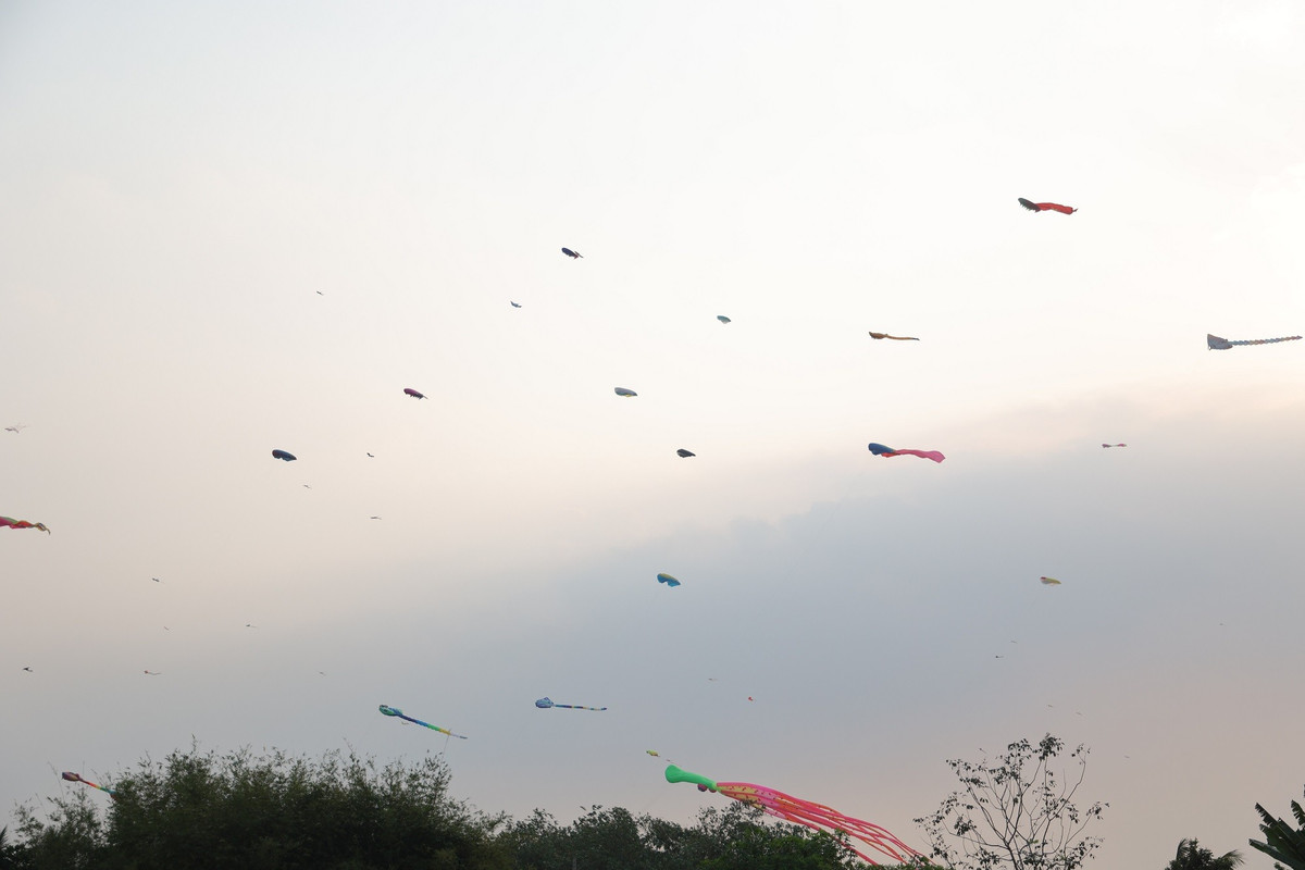 Cánh đồng diều trở thành điểm hẹn lý tưởng cho hàng trăm người dân đến vui chơi.