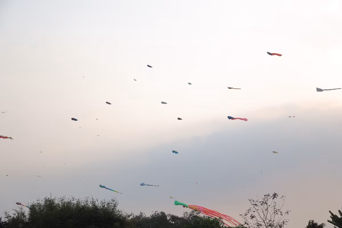 Cánh đồng diều trở thành điểm hẹn lý tưởng cho hàng trăm người dân đến vui chơi.