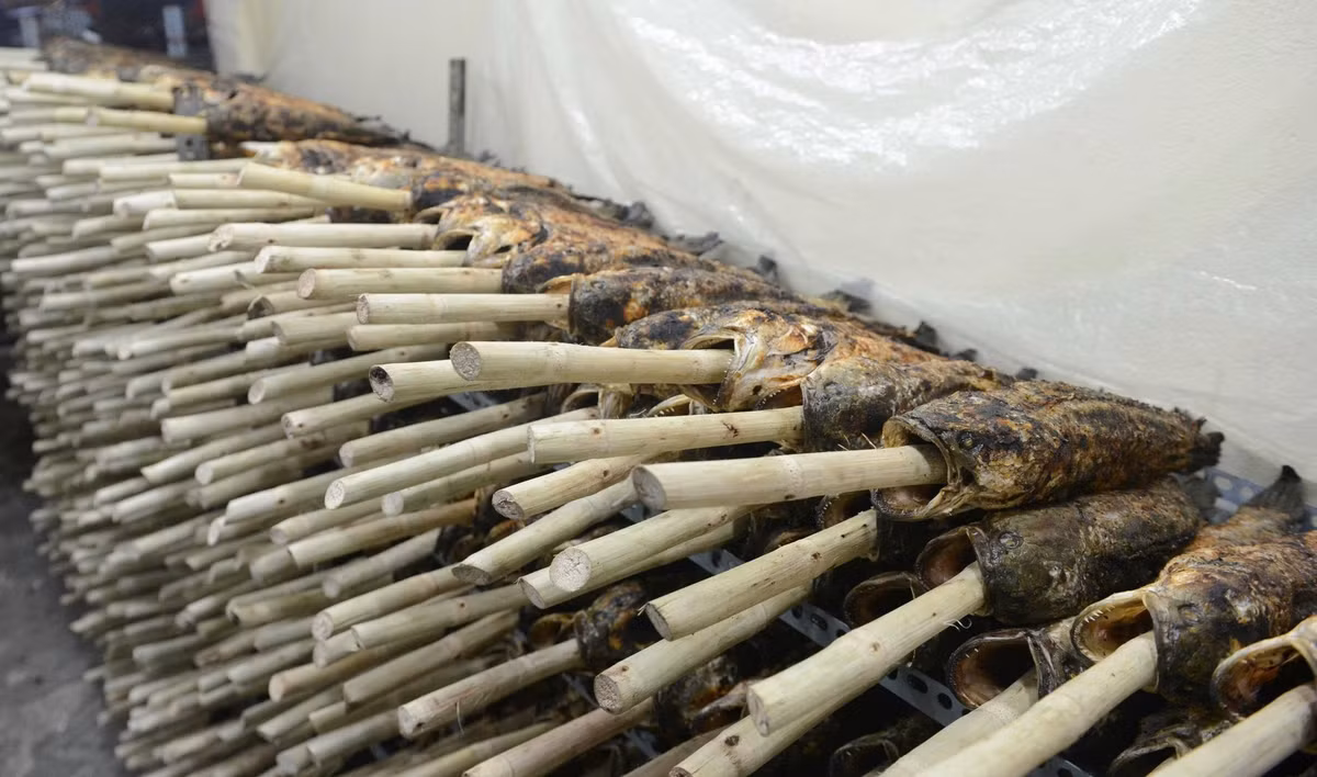 Những con cá đã được nướng sơ chất đầy trên kệ. Tất cả cá nướng đều được xiên bằng thân cây mía.