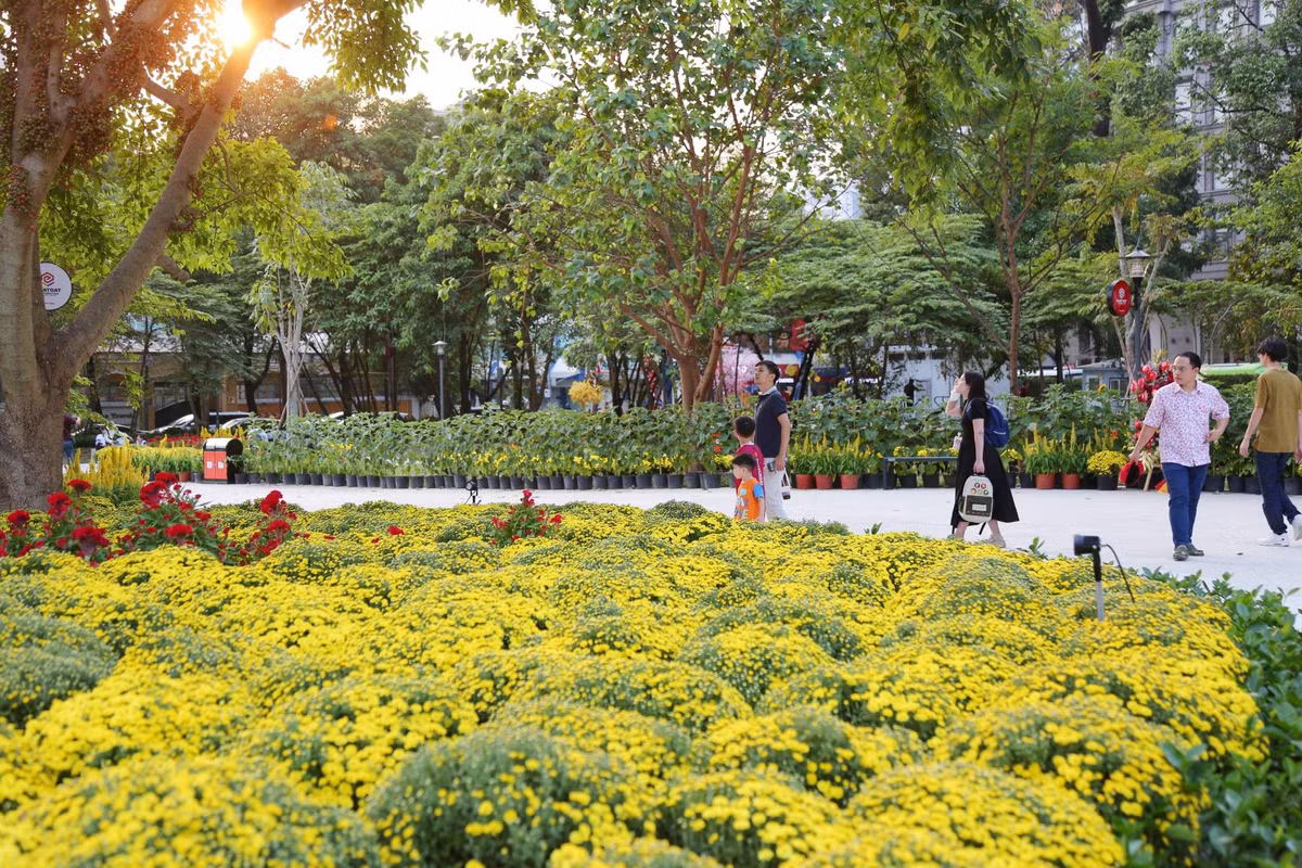 Việc biến các khu đất “vàng” tạm thời chưa sử dụng thành vườn hoa Tết không chỉ giúp làm đẹp cảnh quan đô thị mà còn góp phần tạo không gian sinh hoạt cộng đồng, kích cầu du lịch và thương mại dịp cuối năm.
