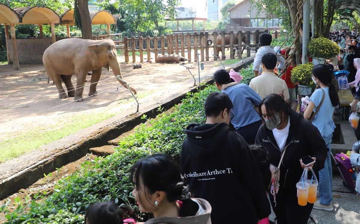 Các điểm xem thú thu hút lượng người đông nhất. Những con đường qua khu vực này thường dày đặc người qua lại, ngắm thú, nhất là trẻ nhỏ.