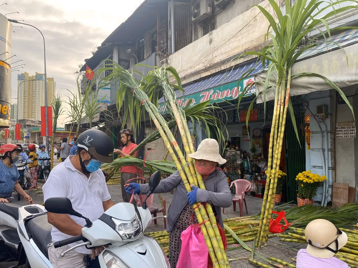 Sau khi chọn được những cặp mía ưng ý, người dân phấn khởi chở về nhà để cúng vía Ngọc Hoàng, gửi gắm ước mong một năm mới làm ăn thuận lợi, sung túc và đủ đầy.