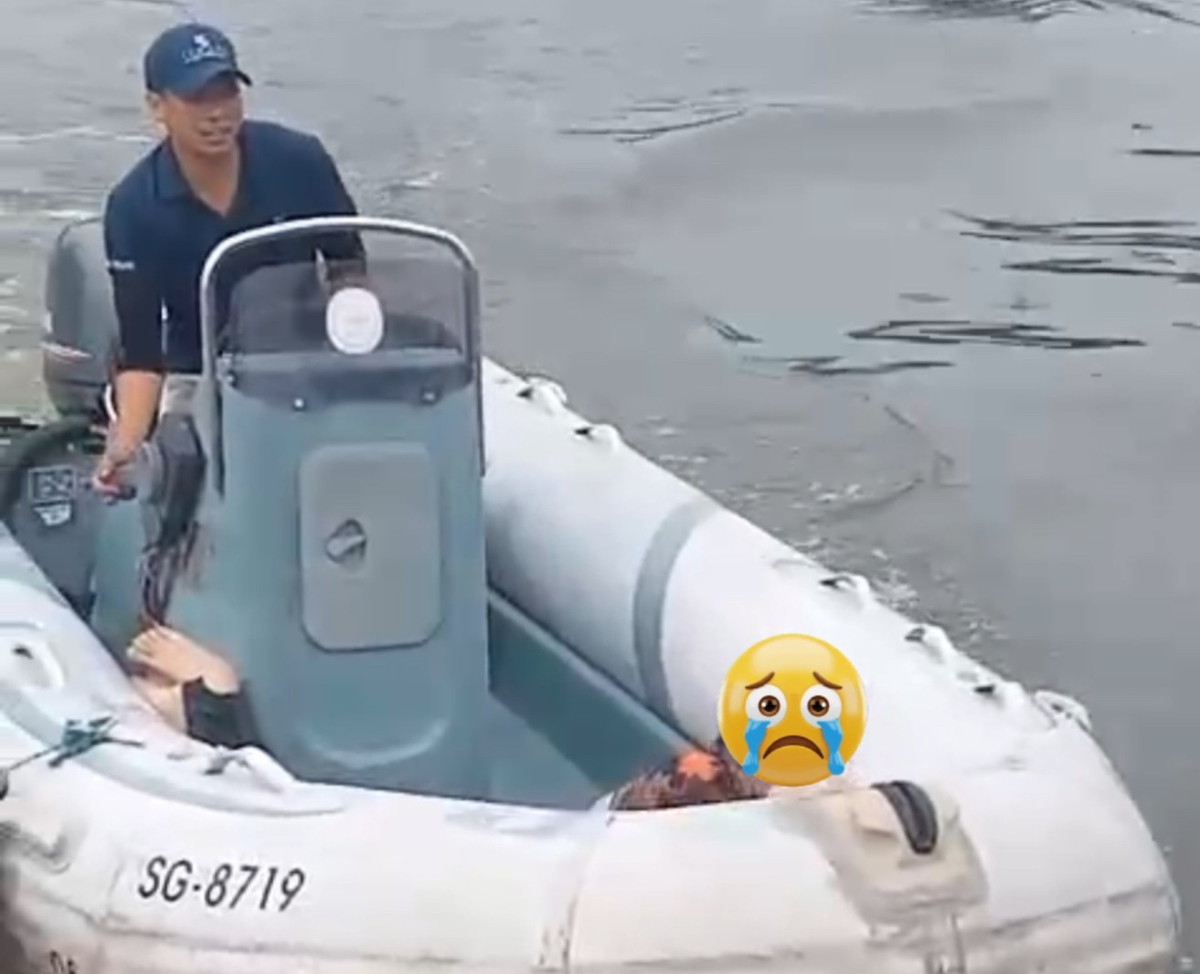 View - Hai người hùng thầm lặng cứu sống người phụ nữ nhảy cầu Sài Gòn | Báo Tri thức và Cuộc sống - TIN TỨC PHỔ BIẾN KIẾN THỨC 24H