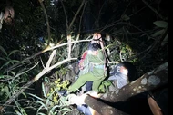 Xe máy rơi xuống vực ở Tuyên Quang khiến 3 người thương vong