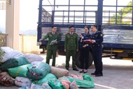 Phát hiện, xử lý hơn 2 tấn nội tạng động vật không rõ nguồn gốc ở Sơn La