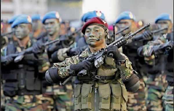 Táo bạo như Malaysia: Làm áo giáp chống đạn từ... cây dừa