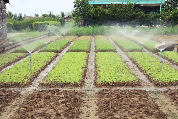 Mô hình tưới nước tiết kiệm nước (Ảnh tư liệu) 3.jpg