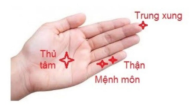 Vị trí huyệt kích thích giúp mọc tóc - Ảnh BSCC rung-toc-2.jpg