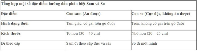 Hướng dẫn đơn giản phân biệt con sam và con so - Nguồn hình: Internet anh-chup-man-hinh-2025-06-10-144006.jpg