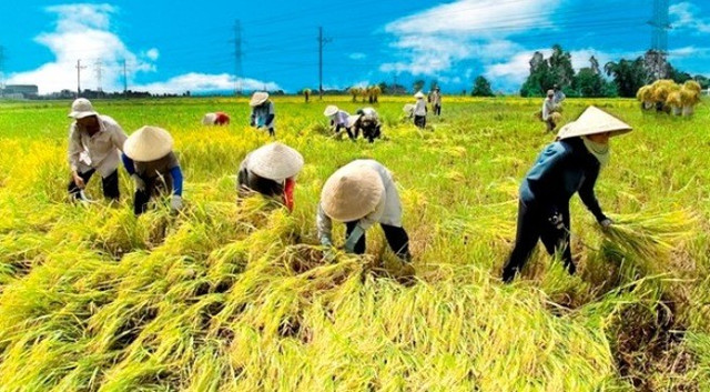 Người dân cần chú ý khi làm việc ngoài trời ngày nắng nóng - Ảnh minh họa nnn2.jpg