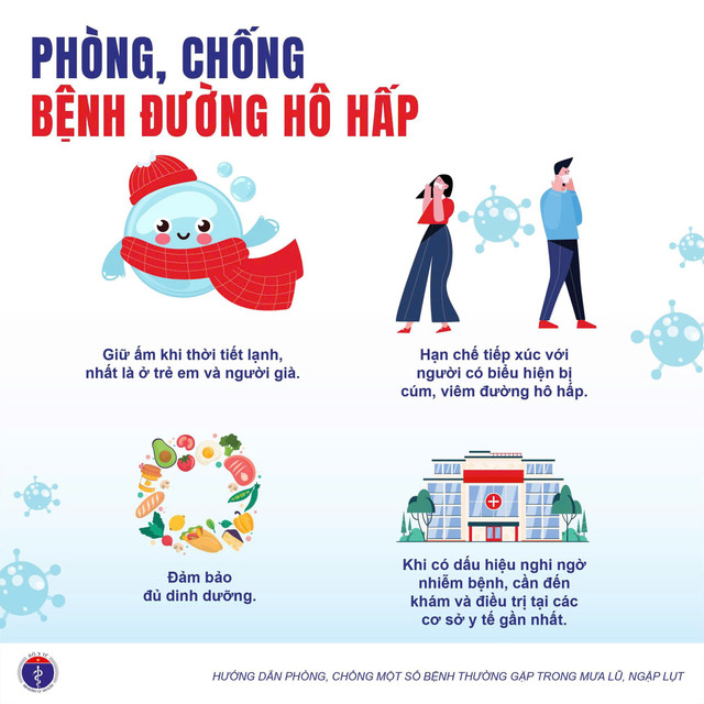 mua-lut-bao-lu-6.jpg