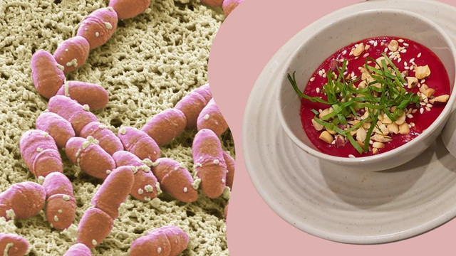 Ăn tiết canh dễ mắc liên cầu khuẩn lợn. lien-cau-lon.jpg