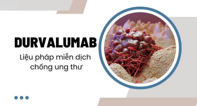 lieu-phap-mien-dich-ung-thu.jpg