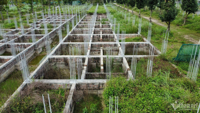 Đất bỏ hoang, dự án chậm triển khai: Nên xử phạt hay đánh thuế? Ảnh: Hồng Khanh danh-thue-bat-dong-san-112477.jpg