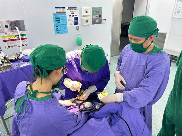 Kíp bác sĩ Bệnh viện ĐK tỉnh Quảng Ninh thực hiện lấy dị vật và xử trí tổn thương não - Ảnh BVCC keo-dam-xuyen-nao-1.jpg