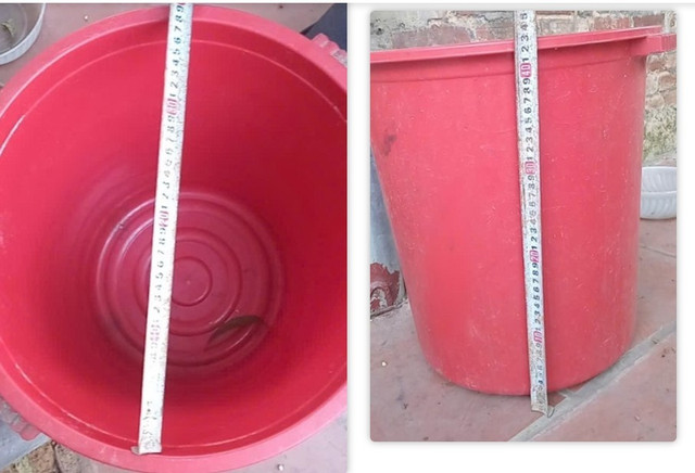 Xô nước bệnh nhi ngã vào - Ảnh BVCC anh-chup-man-hinh-2025-05-22-141721.jpg
