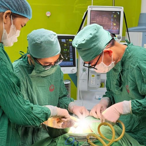 Ca phẫu thuật cho bệnh nhân - Ảnh BVCC u-nang-co-1.jpg